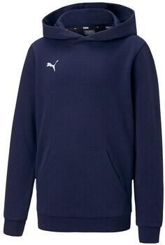 Puma Sweater Teamgoal 23 Causals Hoody