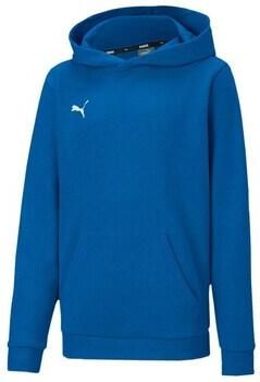 Puma Sweater Teamgoal 23 Causals Hoody
