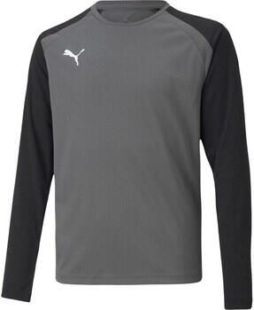 Puma Sweater Teampacer Gk