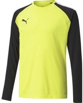 Puma Sweater Teampacer Gk