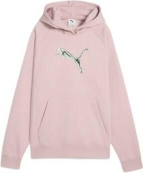 Puma Sweaters 69491149 Standard Hoodie