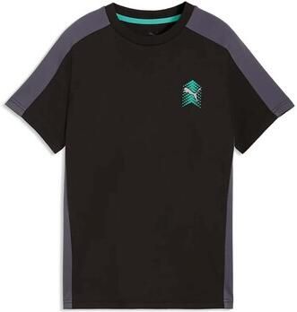 Puma T-shirt Active Sports Small Graphic Tee B