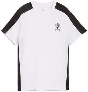 Puma T-shirt Active Sports Small Graphic Tee B