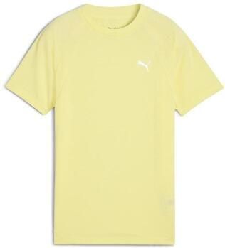 Puma T-shirt Evostripe