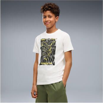 Puma T-shirt Graphic Box Tee B