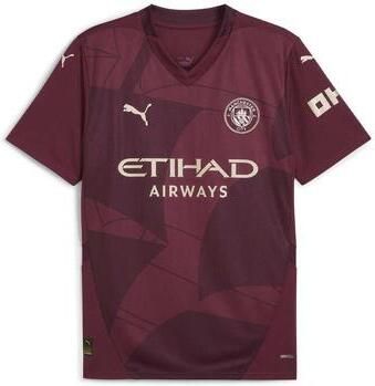 Puma T-shirt Korte Mouw Mcfc Third Jersey Replica