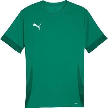 Puma TeamGOAL Matchday Shirt Heren