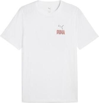 Puma T-shirt Korte Mouw Road To Unity