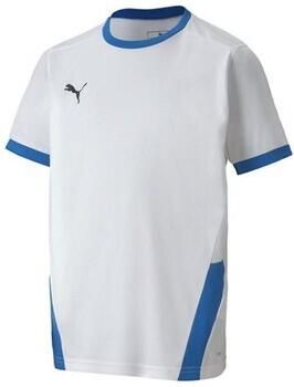 Puma T-shirt Korte Mouw Teamgoal 23 Jersey