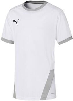 Puma T-shirt Korte Mouw Teamgoal 23 Jersey