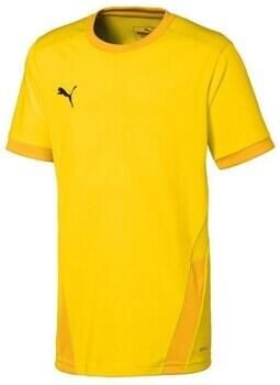 Puma T-shirt Korte Mouw Teamgoal 23 Jersey