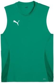 Puma T-shirt TeamGOAL