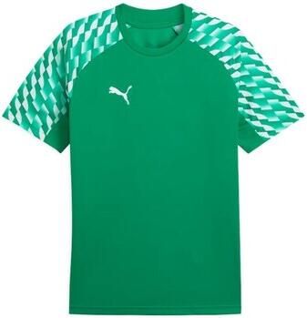 Puma T-shirt TeamLIGA26