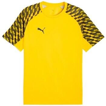 Puma T-shirt TeamLIGA26