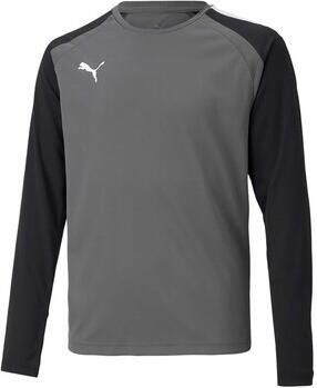 Puma T-shirt Teampacer Gk Ls Jersey Jr