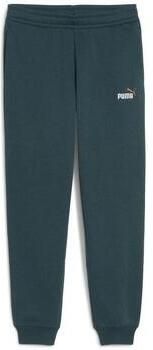 Puma Trainingsbroek 685824