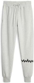 Puma Trainingsbroek Hoops