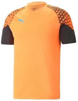 Puma Individuele CUP Trainings T-shirt Orange Heren