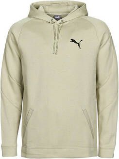 Puma Sweater DAY IN MOTION HOODIE DK