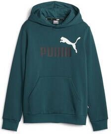 Puma Sweater ESS 2 COL BIG LOGO HOODIE FL B