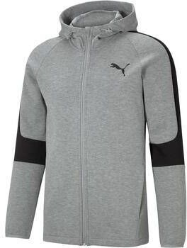 Puma Sweater Evostripe Core Fz