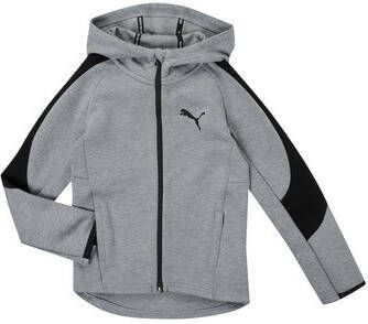 Puma Sweater EVOSTRIPE CORE FZ HOODIE