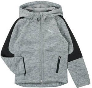 Puma Sweater EVOSTRIPE FZ HOODED JACKET