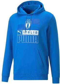 Puma T-shirt Italien FtblCore Hoodie 2022 2023