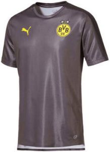 Puma T-shirt Korte Mouw BVB Stadium Fan Shirt 2018 2019