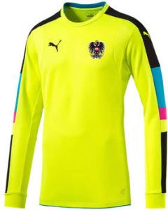 Puma T-Shirt Lange Mouw Österreich Goalkeeper Home Jersey 2017 2018 Women