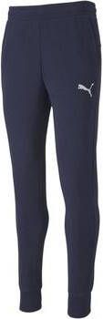Puma Trainingsbroek teamGOAL 23