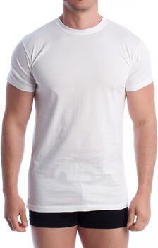 Q-En Boxers Q1003