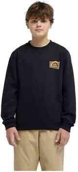 Quiksilver Sweater EQBFT03980-KVJ0