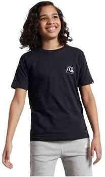 Quiksilver T-shirt Korte Mouw 077-50602204365139