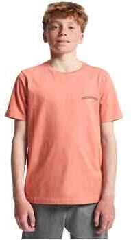 Quiksilver T-shirt Korte Mouw EQBZT04964-MKT0
