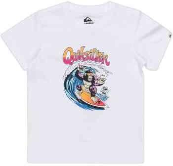 Quiksilver T-shirt Korte Mouw EQKZT03562-WBB0
