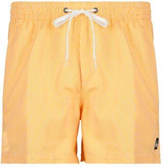 Quiksilver Zwembroek EVERYDAY DELUXE VOLLEY 15
