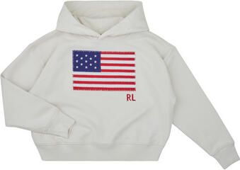 Polo Ralph Lauren Teens Hoodie met label- en motiefstitching