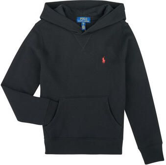 Polo Ralph Lauren Sweater LS PO HOOD