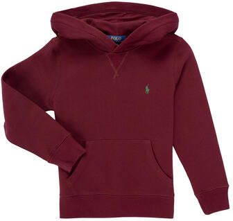 Polo Ralph Lauren Sweater LS PO HOOD