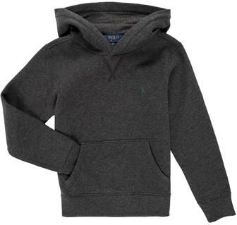 Polo Ralph Lauren Teens Hoodie met logostitching