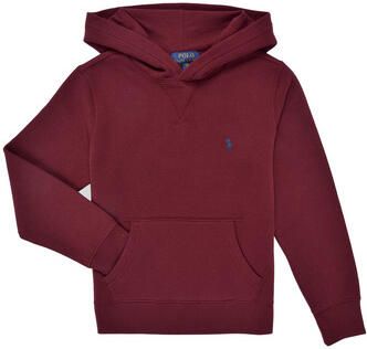 Polo Ralph Lauren Sweater LS PO HOOD-TOPS-KNIT