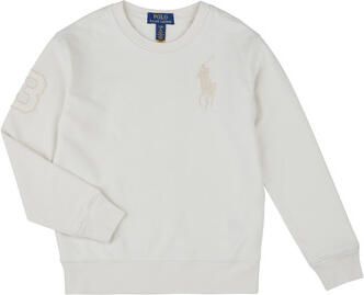 Polo Ralph Lauren Sweaters KNIT-PULLOVER-SWEATSHIRT