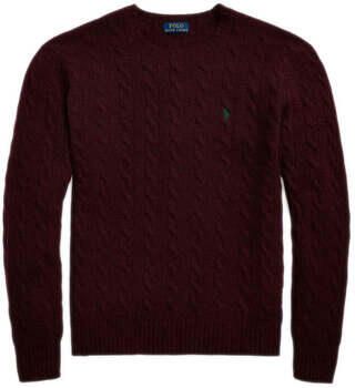 Polo Ralph Lauren Trui