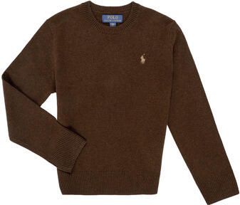Polo Ralph Lauren Trui LS CN TONAL-SWEATER-PULLOVER