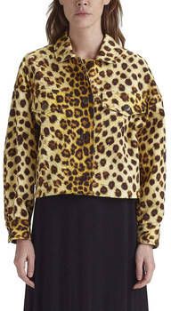 Rame Blazer