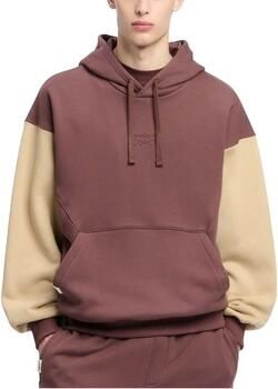 Reebok Sport Sweater CLASSIC HOODIE FT