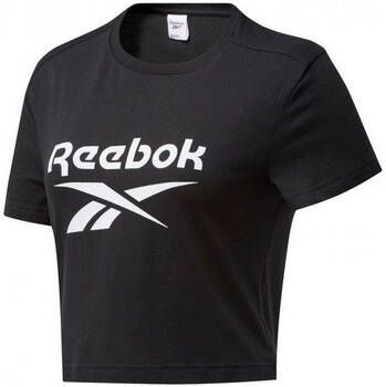 Reebok Sport T-shirt Cl F Big Logo Tee