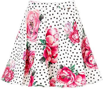 RINASCIMENTO Rok CFC0124623003