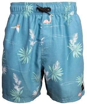 Rip Curl Korte Broek Short Pajarito Volley Bleu